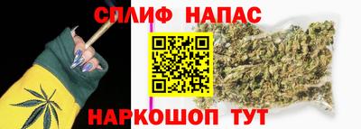 шишки Бузулук