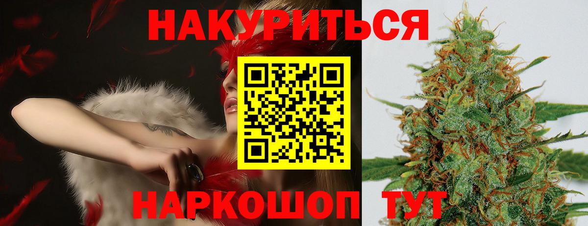 Канабис планчик Михайловка